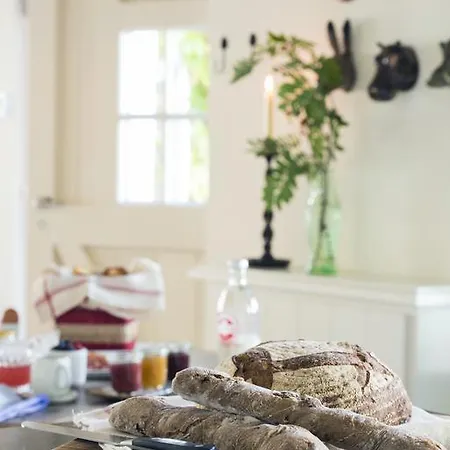 The Herring's - Stylish Private With Breakfast In Historic Center - Adults-only Frühstückspension 3*